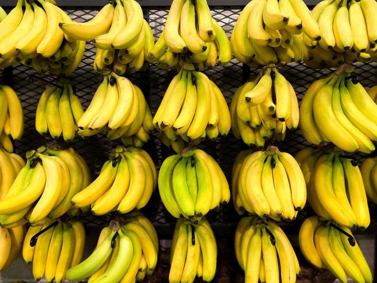 An impressive visual display of rows of fresh bananas at the market